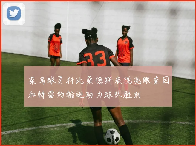 菜鸟球员科比桑德斯表现亮眼奎因和特雷约翰逊助力球队胜利