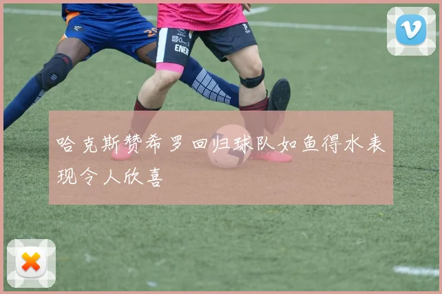 哈克斯赞希罗回归球队如鱼得水表现令人欣喜
