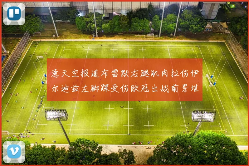 意天空报道布雷默右腿肌肉拉伤伊尔迪兹左脚踝受伤欧冠出战前景堪忧